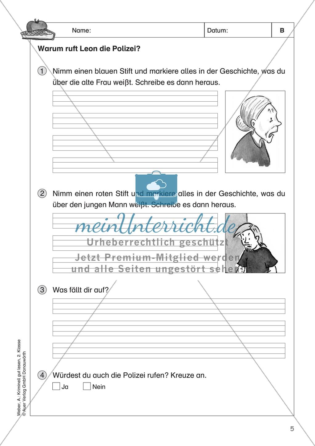 Lesekrimi: Der seltsame Besuch Preview 7