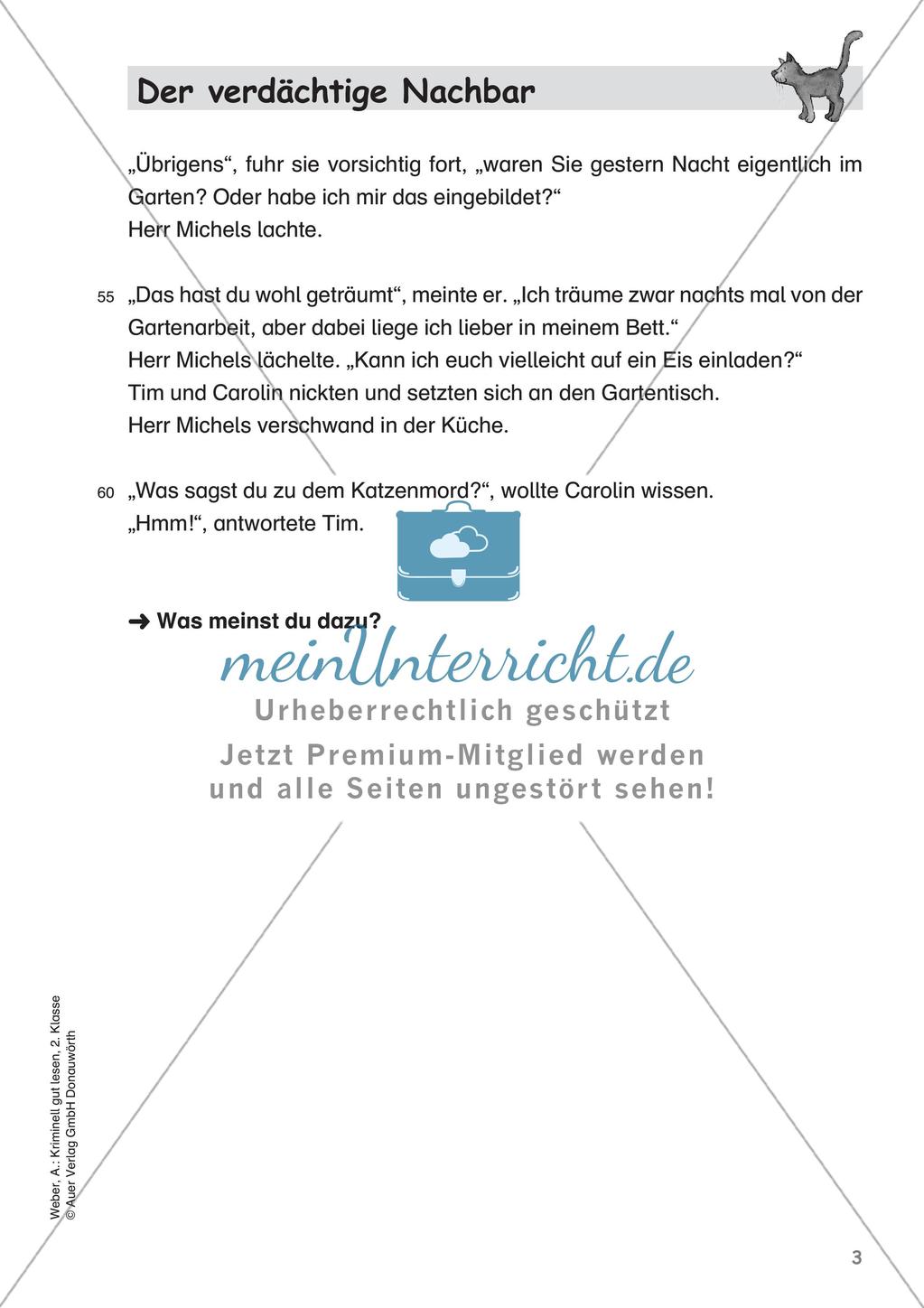 Lesekrimi: Der verdächtige Nachbar Preview 5