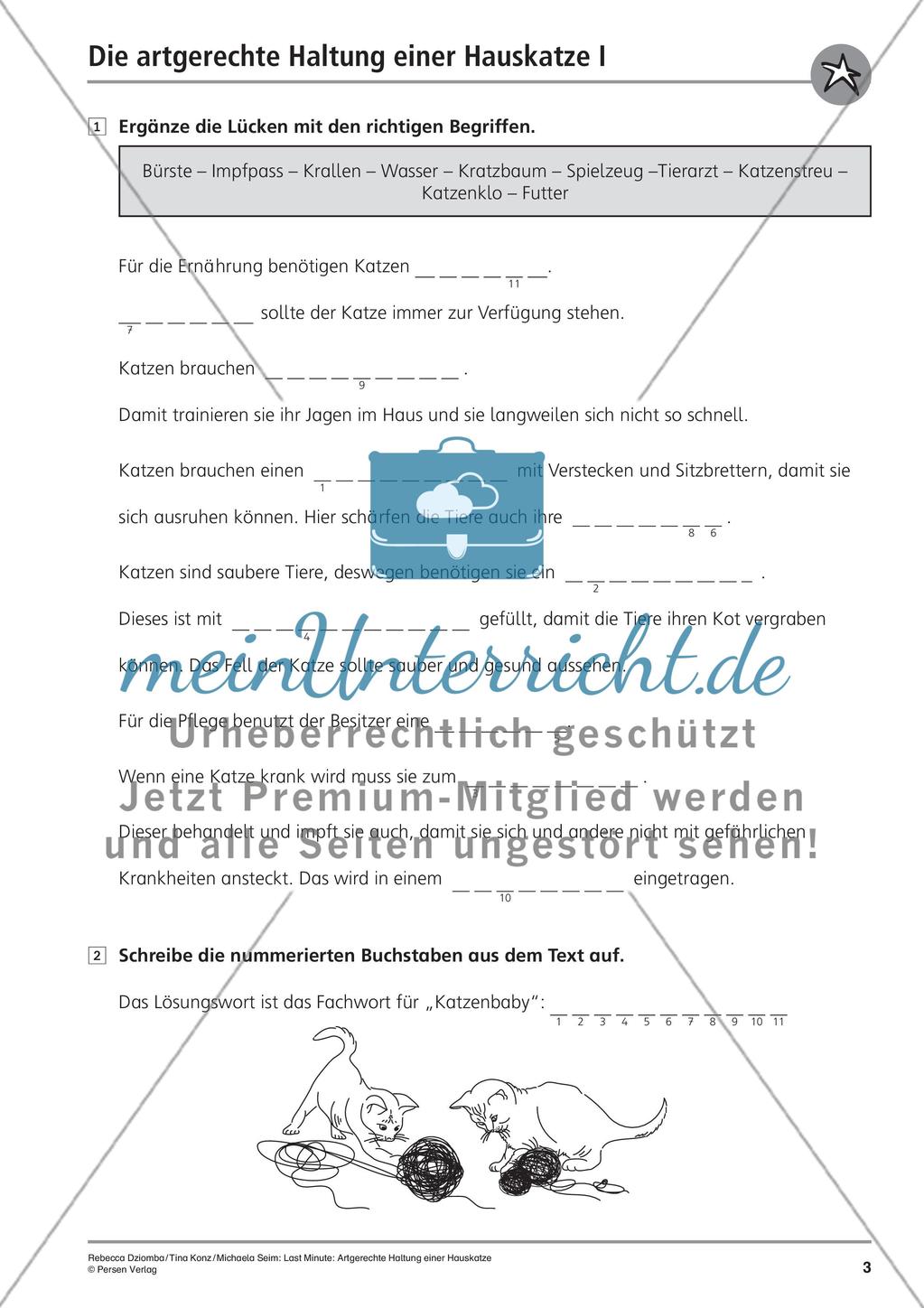 Hauskatze: Artgerechte Haltung Preview 5