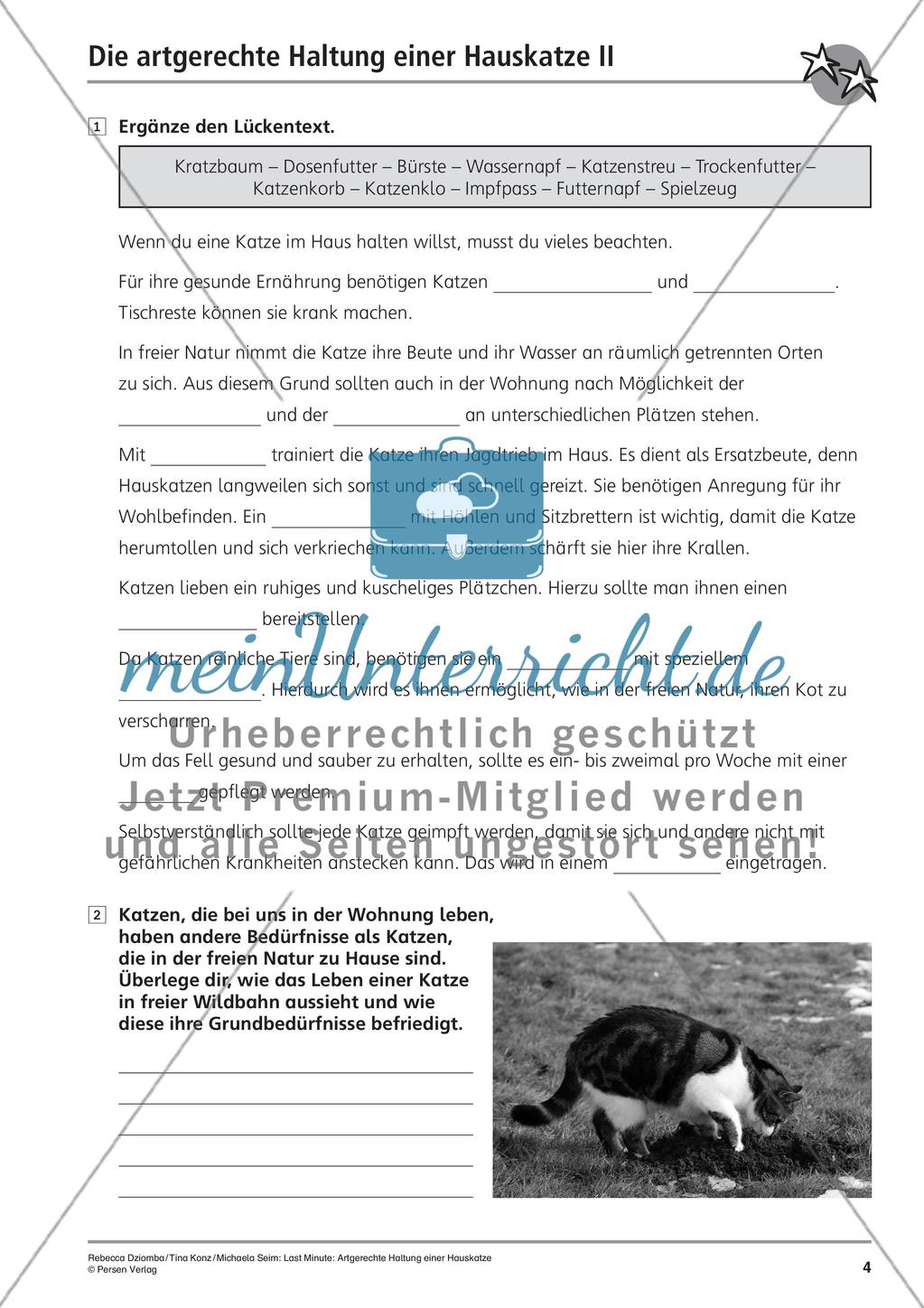 Hauskatze: Artgerechte Haltung Preview 6