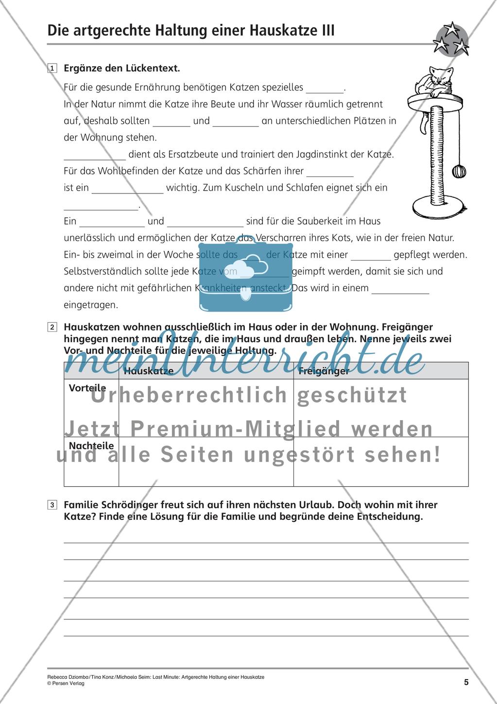 Hauskatze: Artgerechte Haltung Preview 7