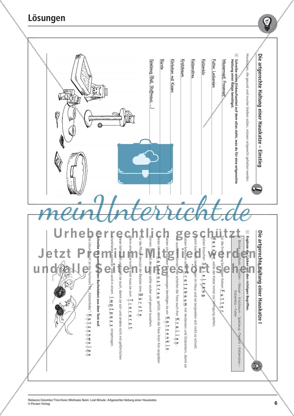 Hauskatze: Artgerechte Haltung Preview 8