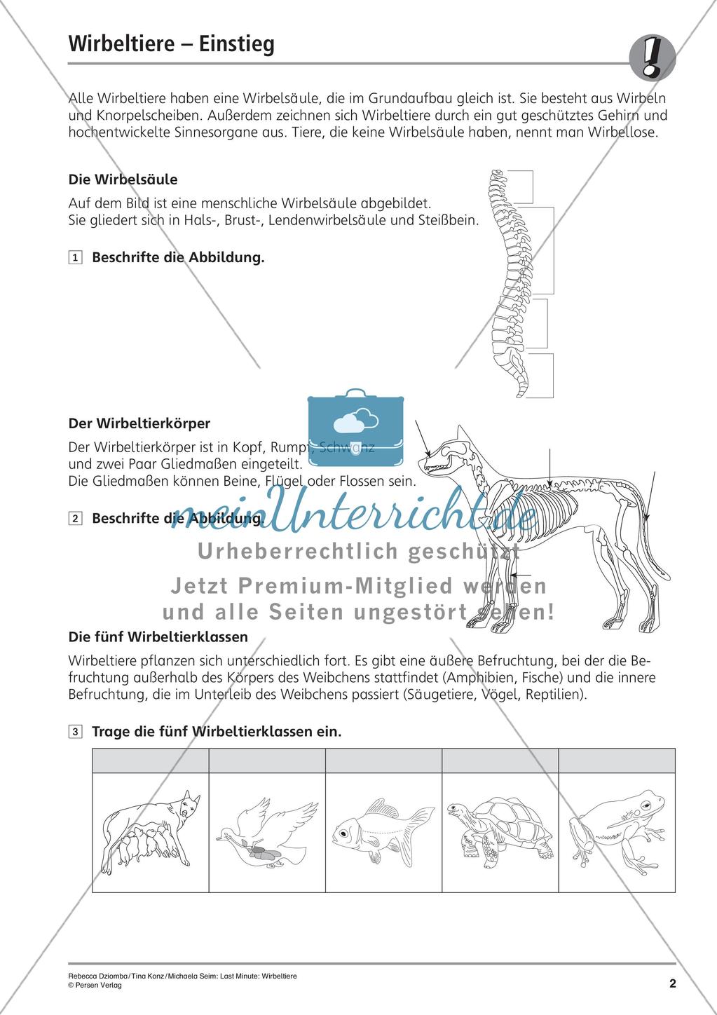 Wirbeltiere: Klassen und Merkmale Preview 4