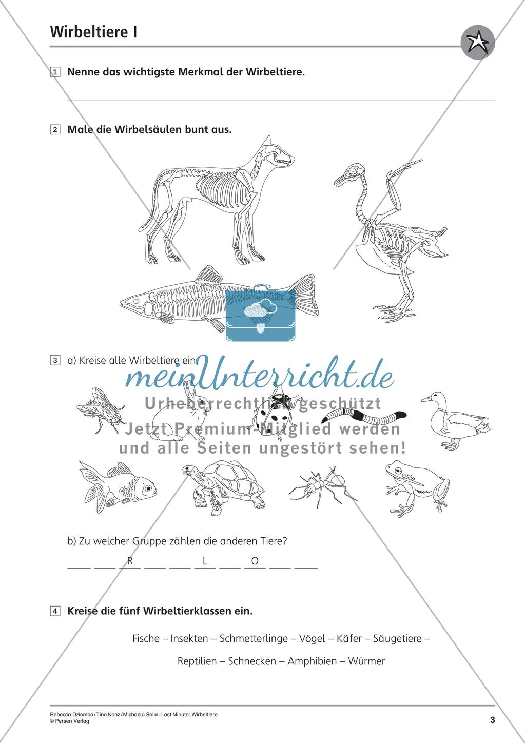 Wirbeltiere: Klassen und Merkmale Preview 5