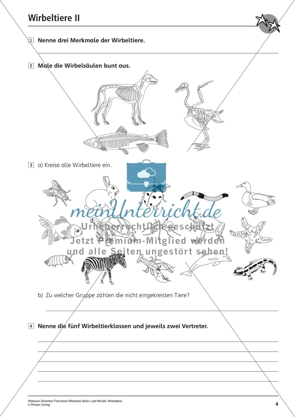Wirbeltiere: Klassen und Merkmale Preview 6