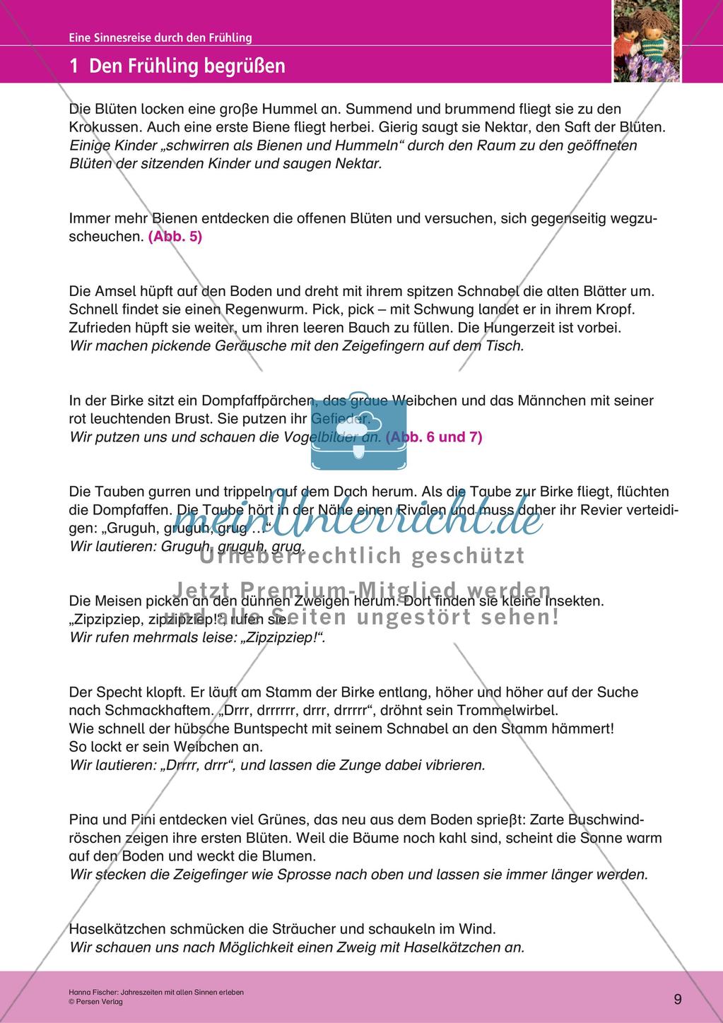 Jahreszeiten mit allen Sinnen erleben: Frühling Preview 11