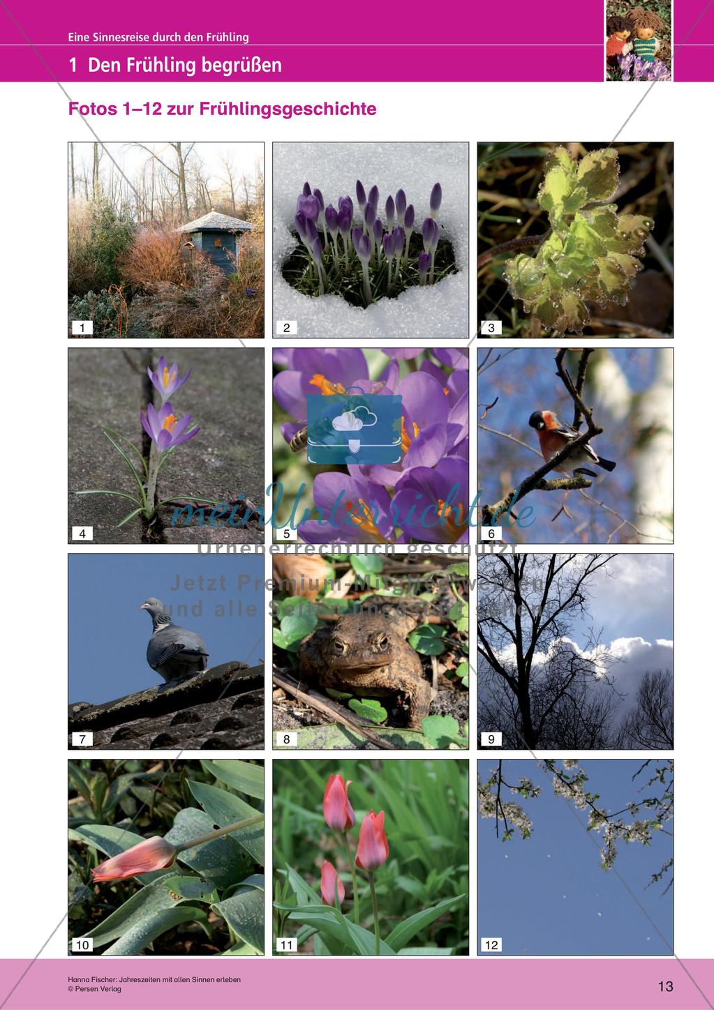 Jahreszeiten mit allen Sinnen erleben: Frühling Preview 15