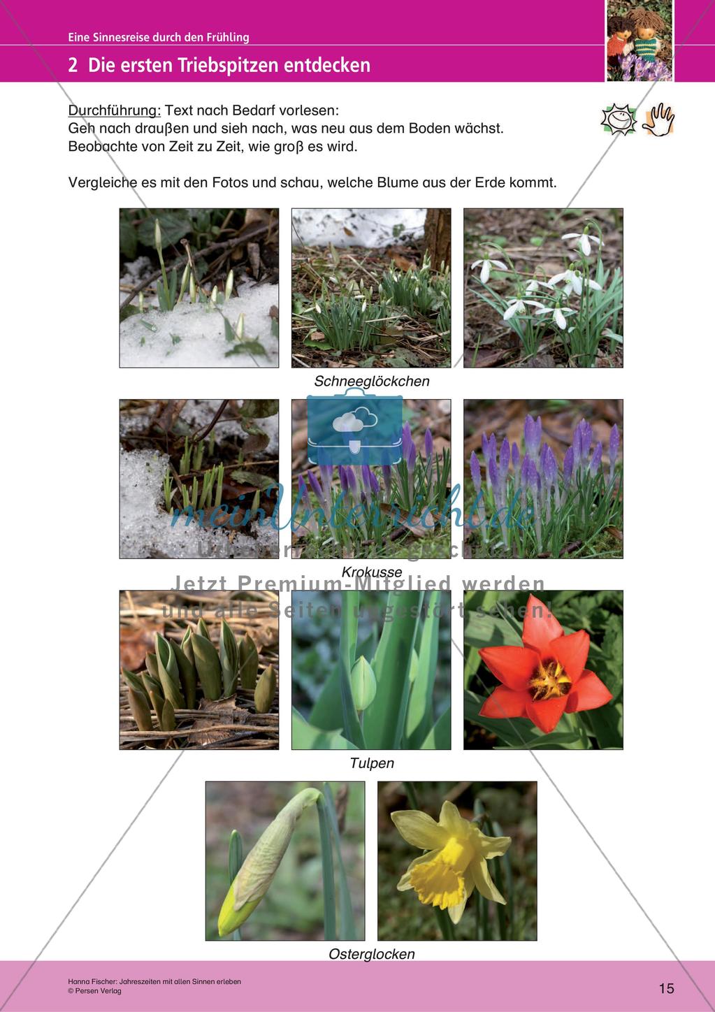 Jahreszeiten mit allen Sinnen erleben: Frühling Preview 17