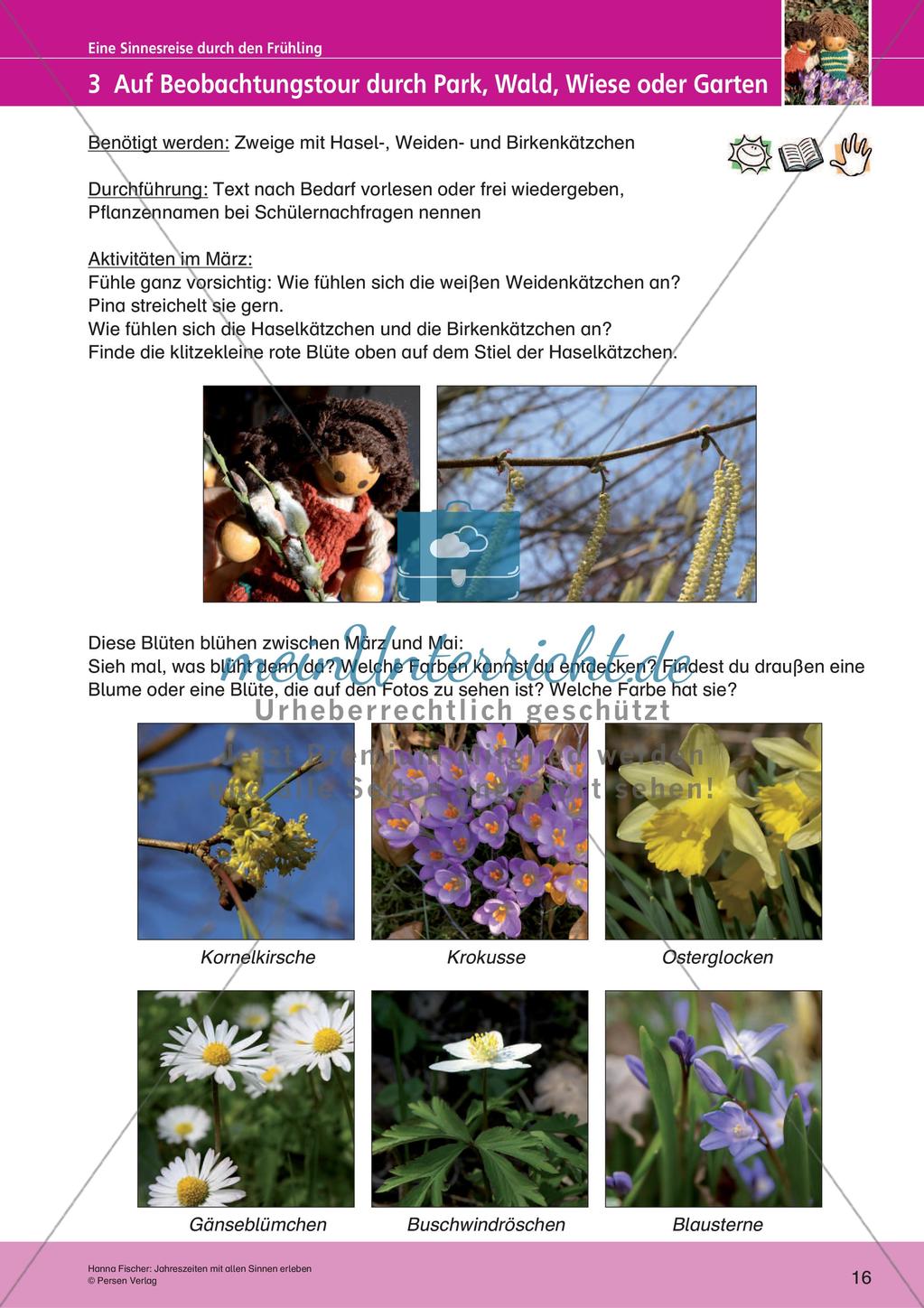 Jahreszeiten mit allen Sinnen erleben: Frühling Preview 18