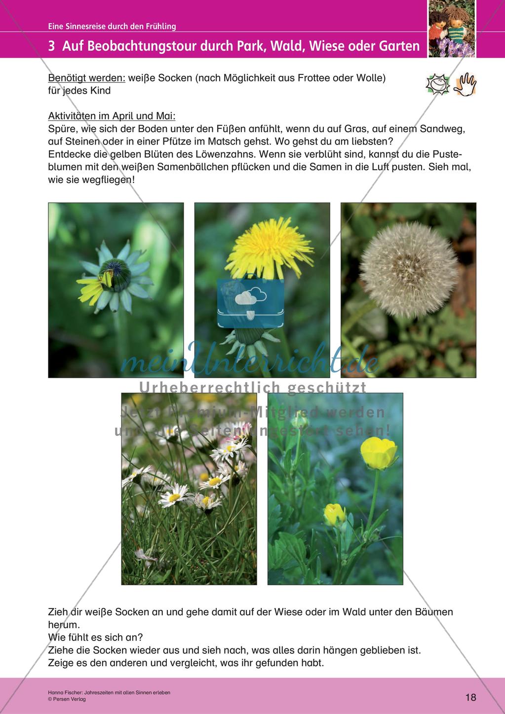 Jahreszeiten mit allen Sinnen erleben: Frühling Preview 20