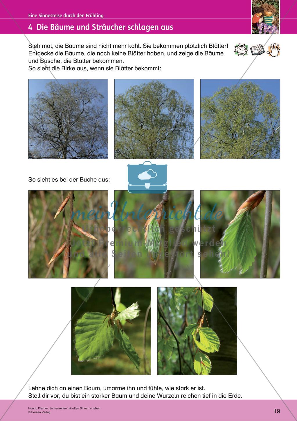 Jahreszeiten mit allen Sinnen erleben: Frühling Preview 21