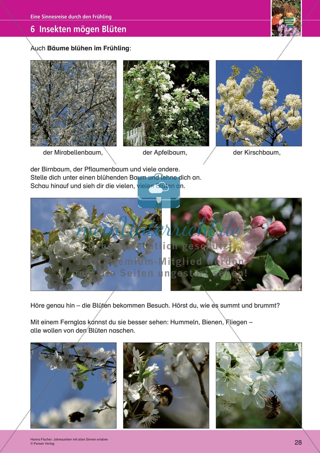 Jahreszeiten mit allen Sinnen erleben: Frühling Preview 30