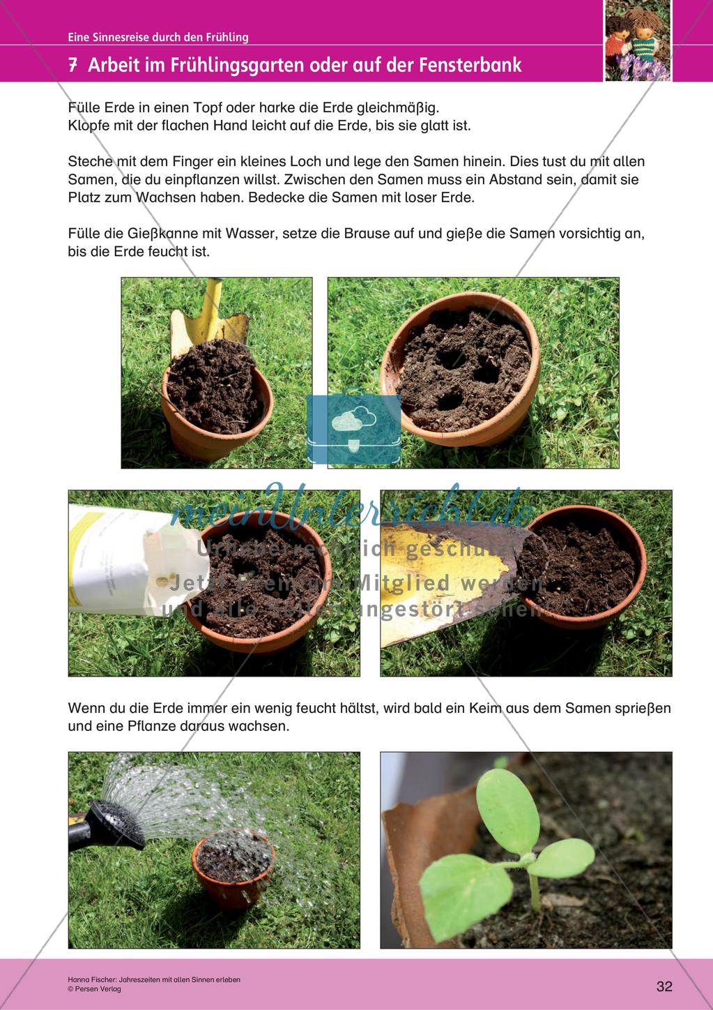 Jahreszeiten mit allen Sinnen erleben: Frühling Preview 34