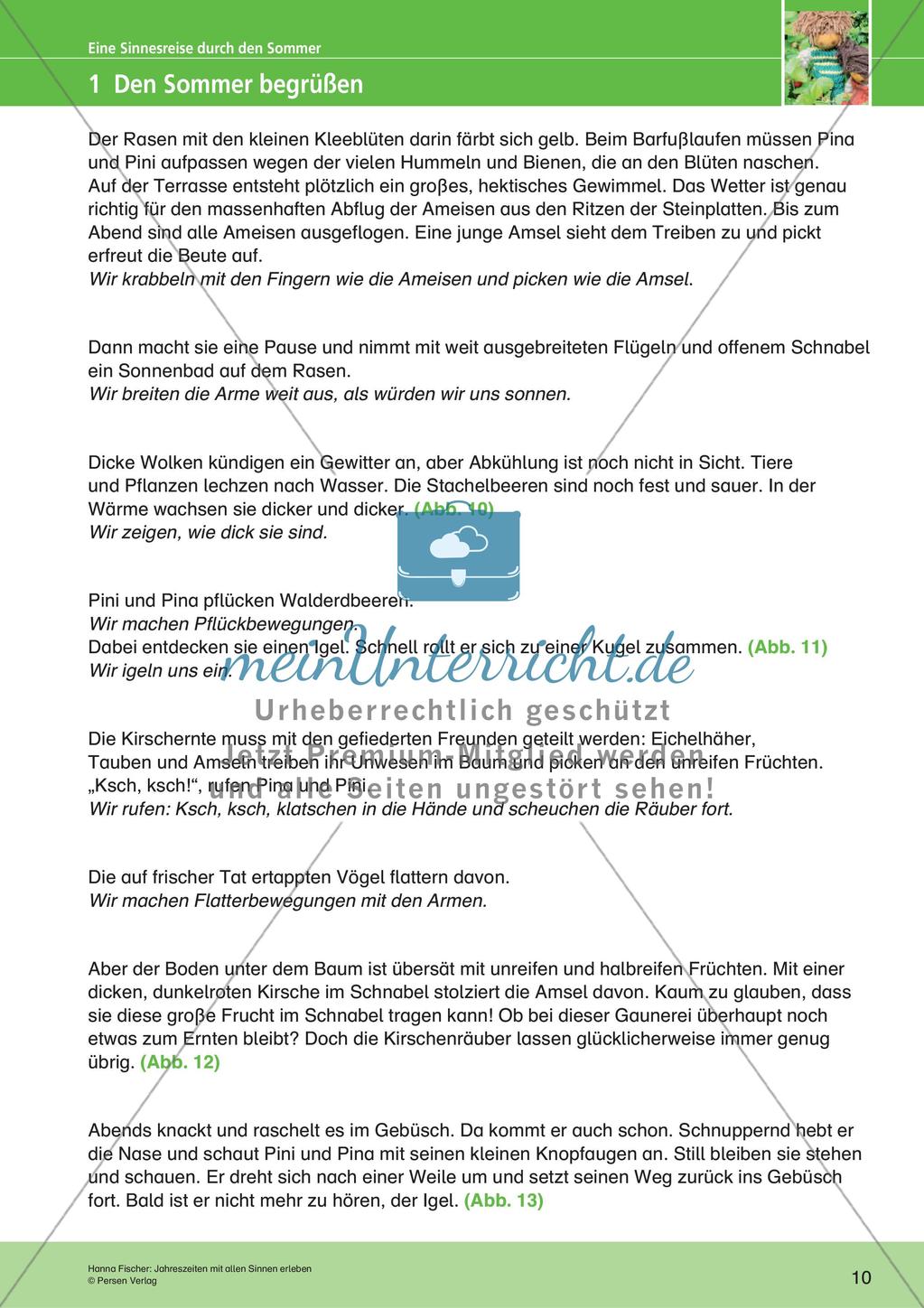 Jahreszeiten mit allen Sinnen erleben: Sommer Preview 12