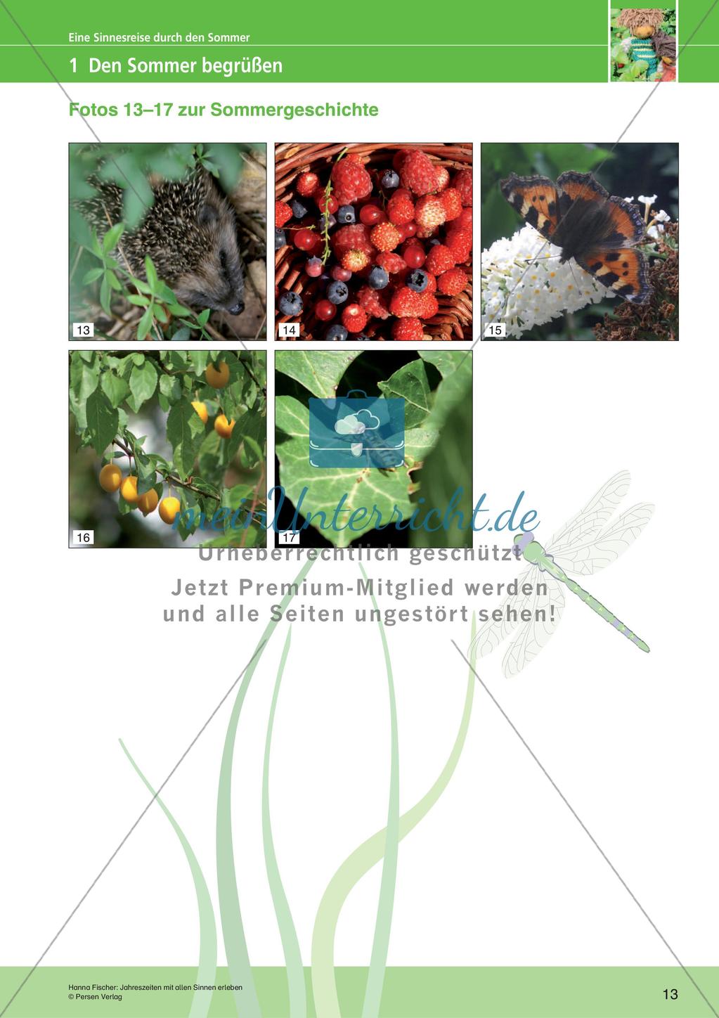 Jahreszeiten mit allen Sinnen erleben: Sommer Preview 15