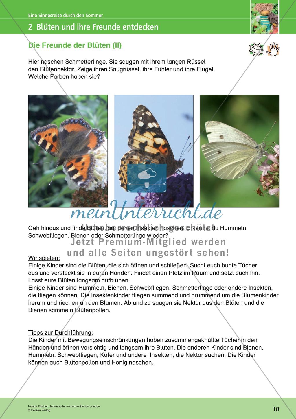 Jahreszeiten mit allen Sinnen erleben: Sommer Preview 20