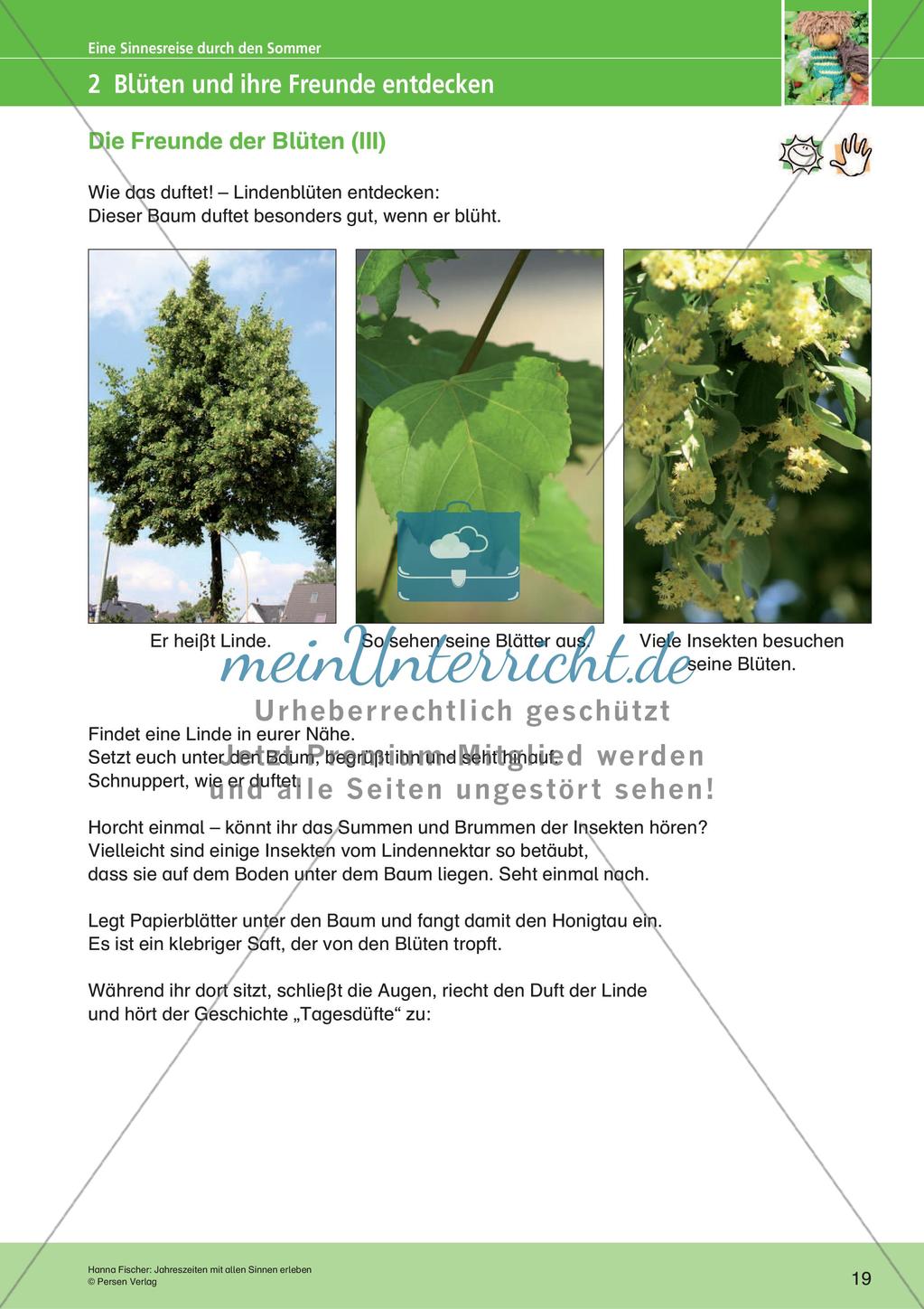 Jahreszeiten mit allen Sinnen erleben: Sommer Preview 21