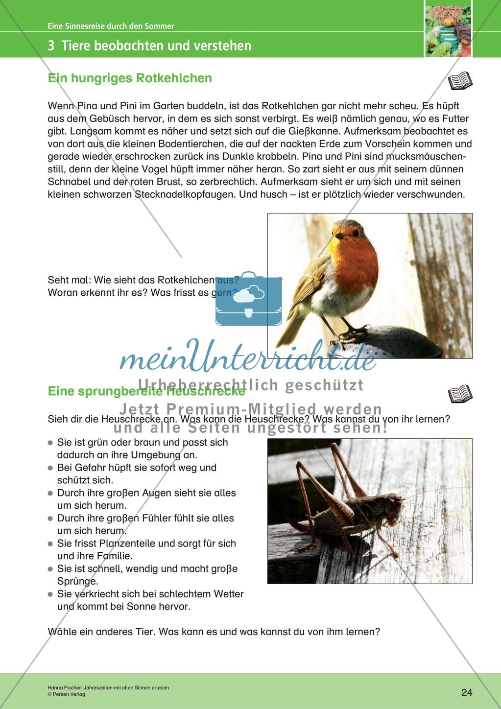 Jahreszeiten mit allen Sinnen erleben: Sommer Preview 26