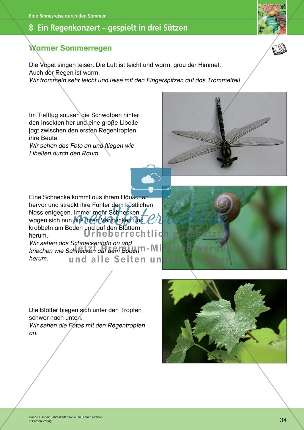 Jahreszeiten mit allen Sinnen erleben: Sommer Preview 36