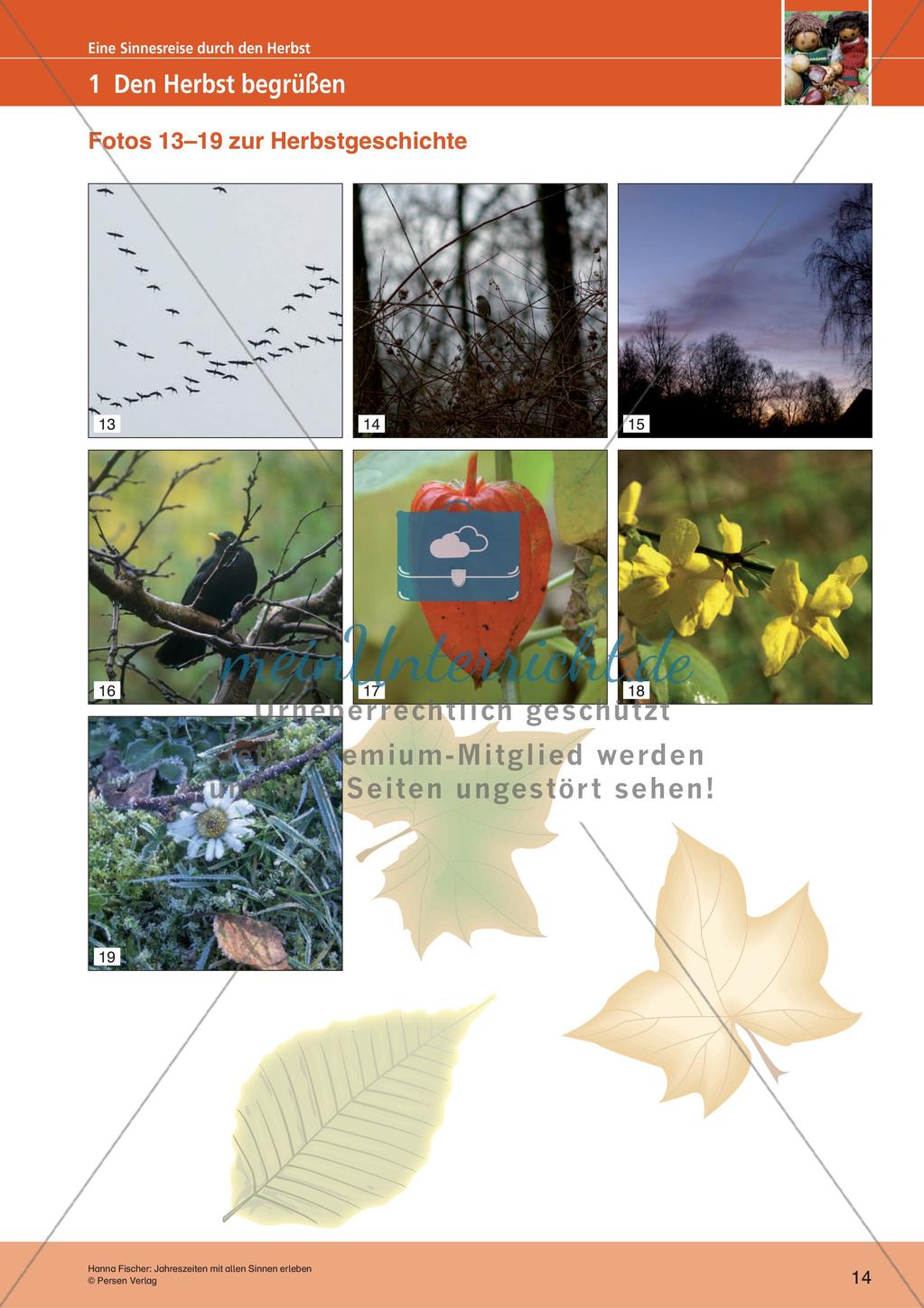 Erleben der Jahreszeiten mit allen Sinnen: Herbst Preview 16