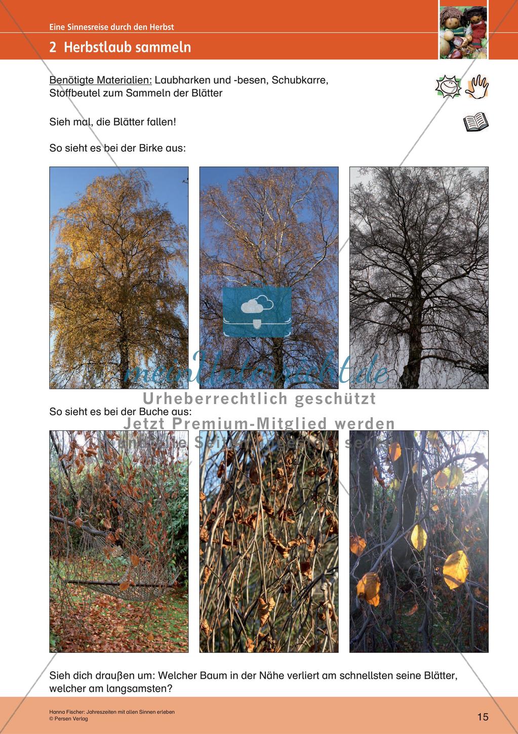 Erleben der Jahreszeiten mit allen Sinnen: Herbst Preview 17