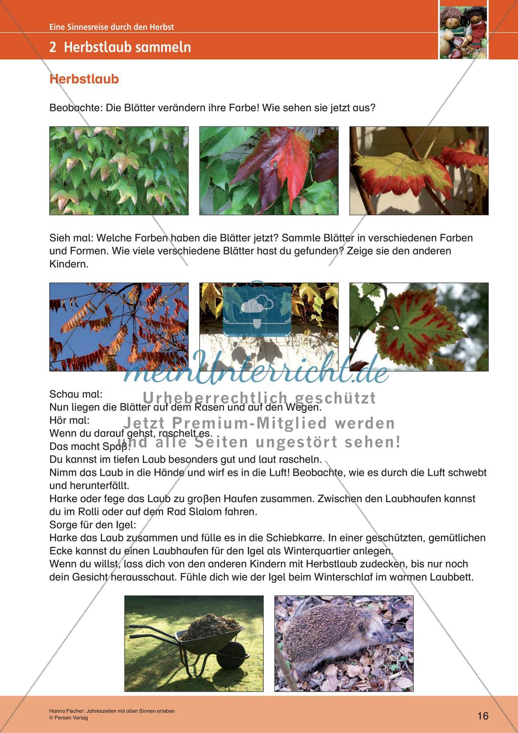 Erleben der Jahreszeiten mit allen Sinnen: Herbst Preview 18