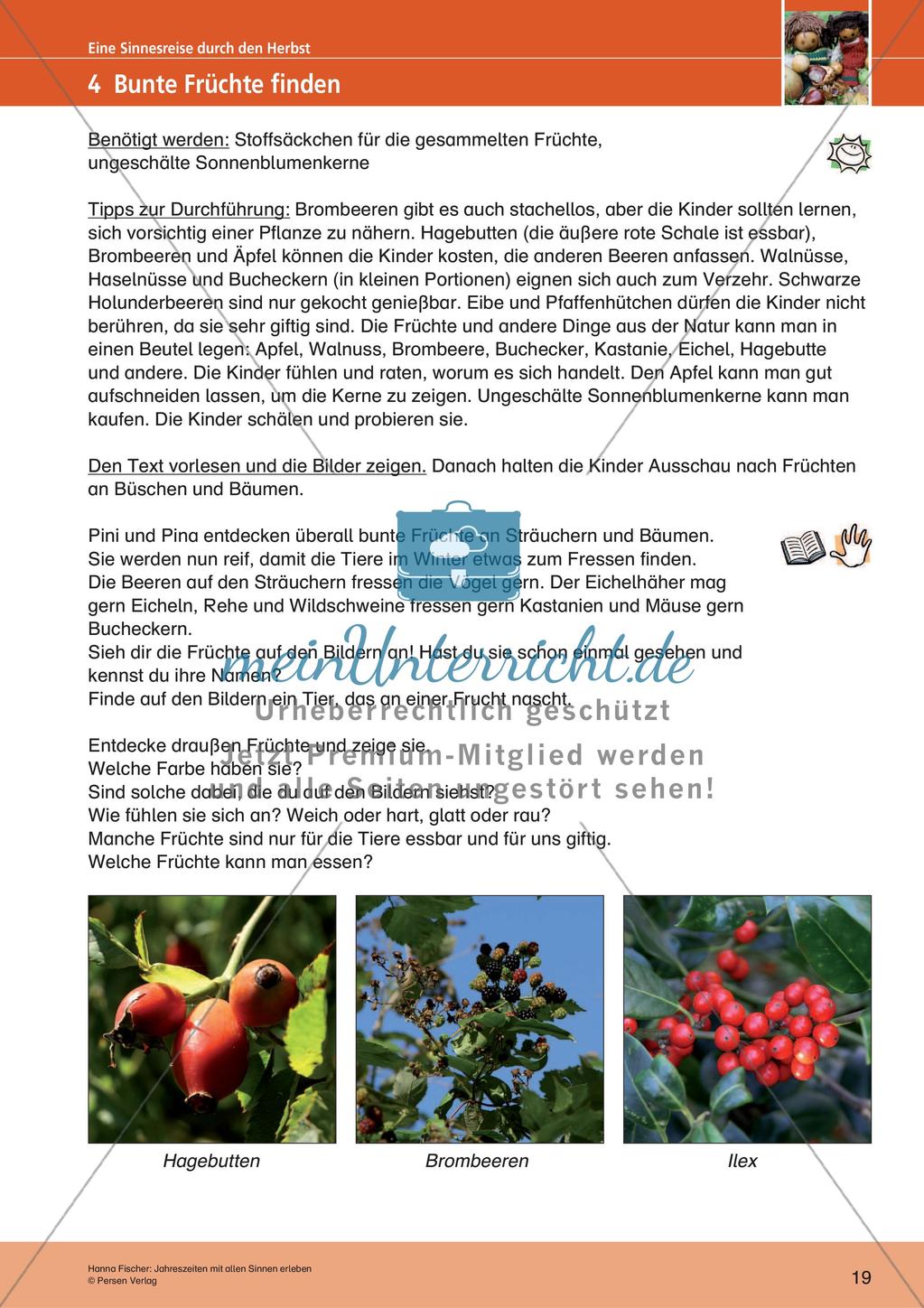 Erleben der Jahreszeiten mit allen Sinnen: Herbst Preview 21