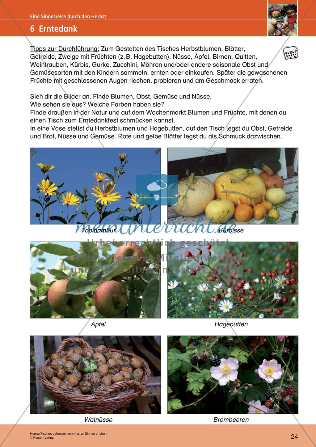 Erleben der Jahreszeiten mit allen Sinnen: Herbst Preview 26