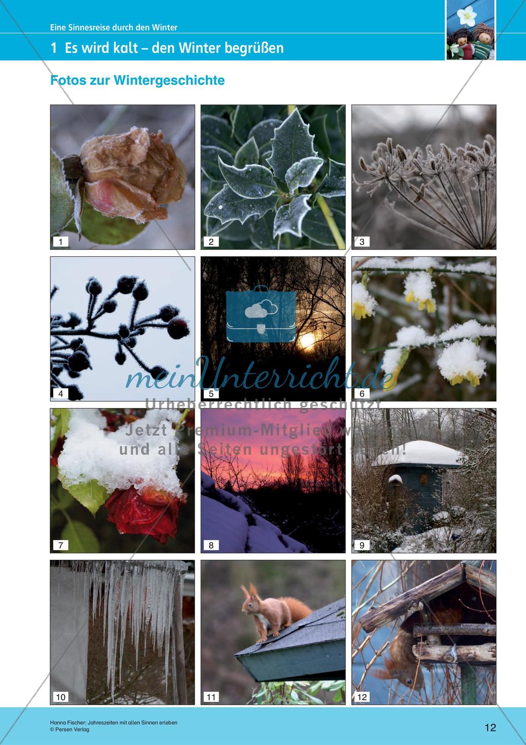 Erleben der Jahreszeiten mit allen Sinnen: Winter Preview 14