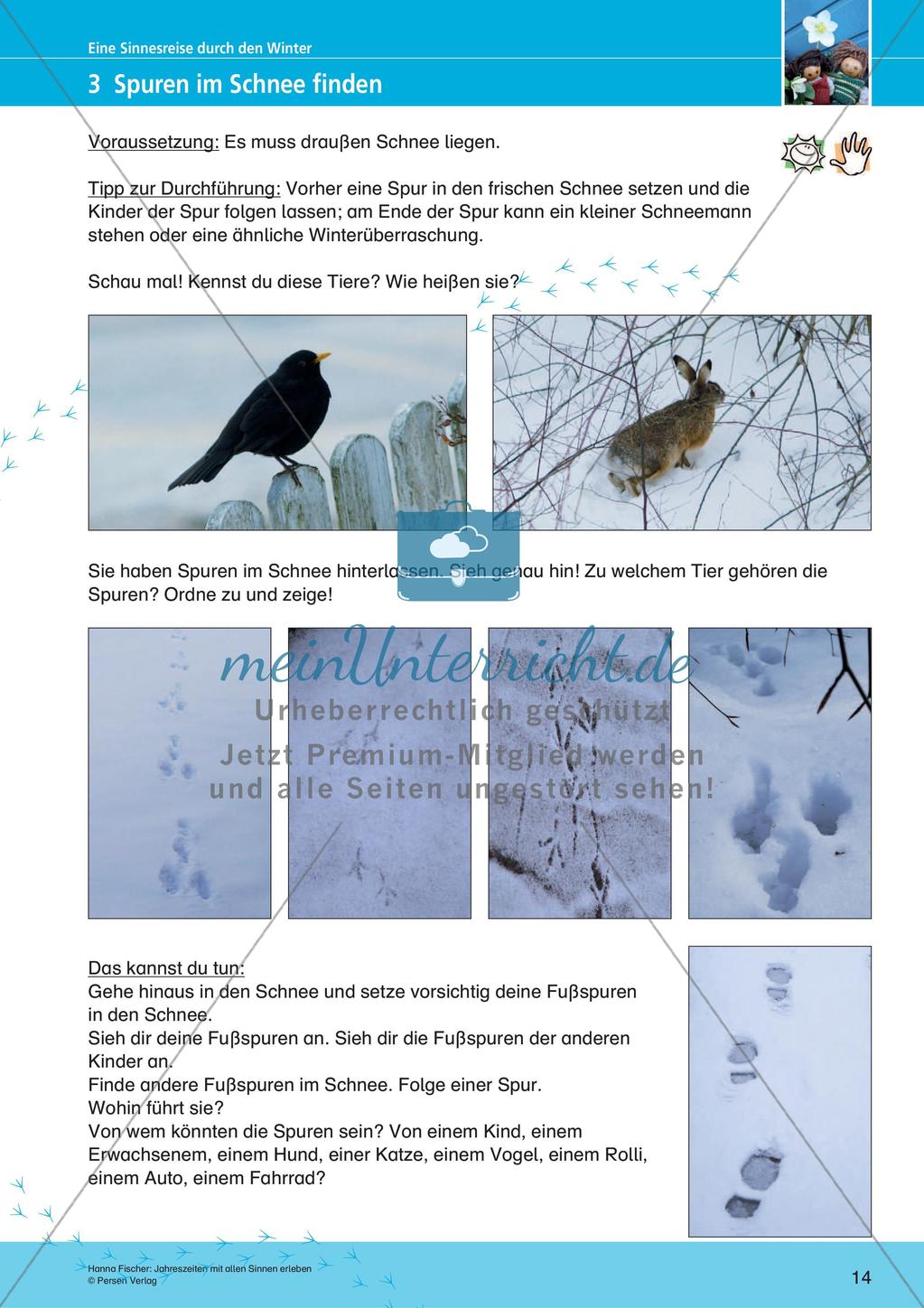 Erleben der Jahreszeiten mit allen Sinnen: Winter Preview 16