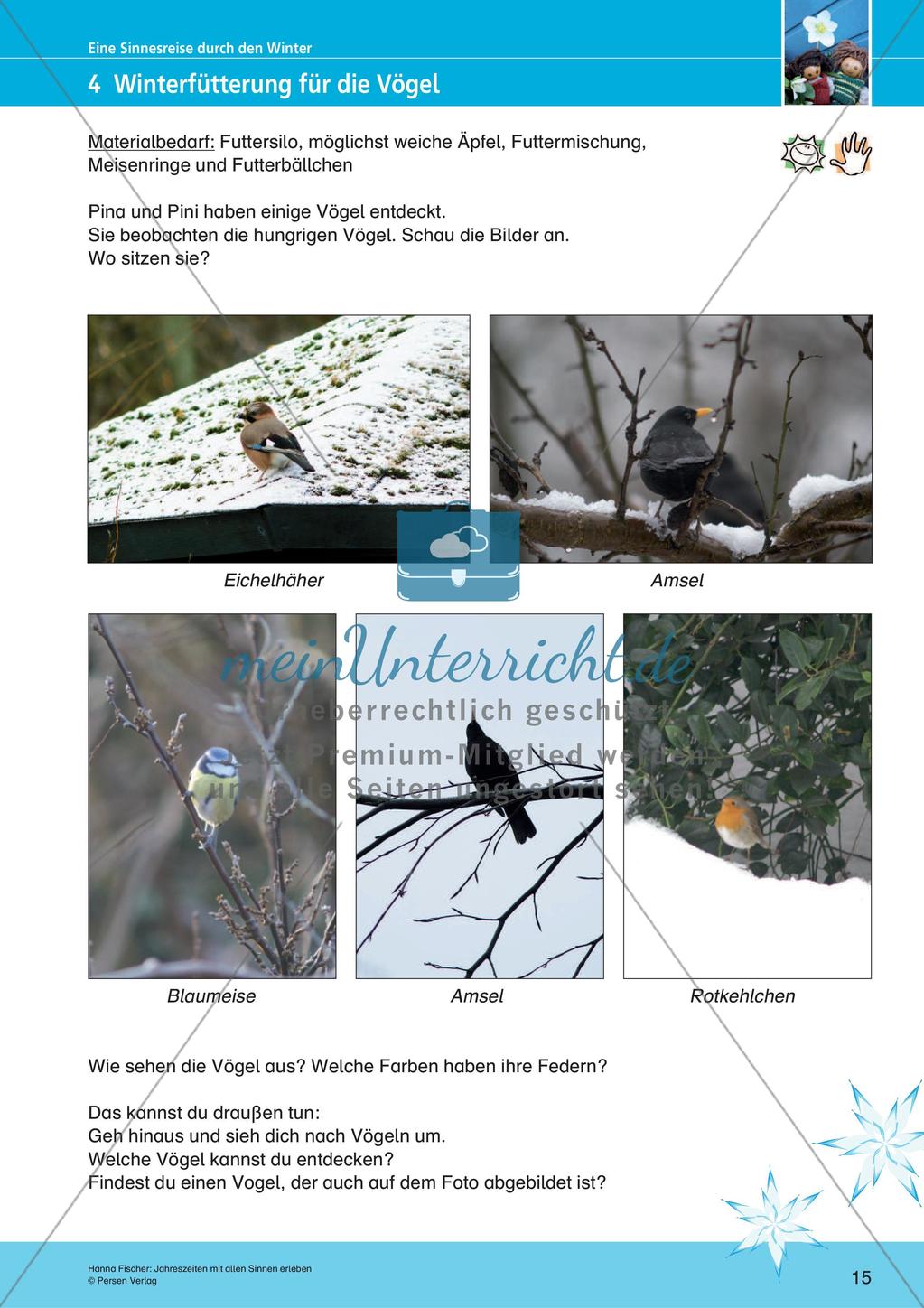 Erleben der Jahreszeiten mit allen Sinnen: Winter Preview 17