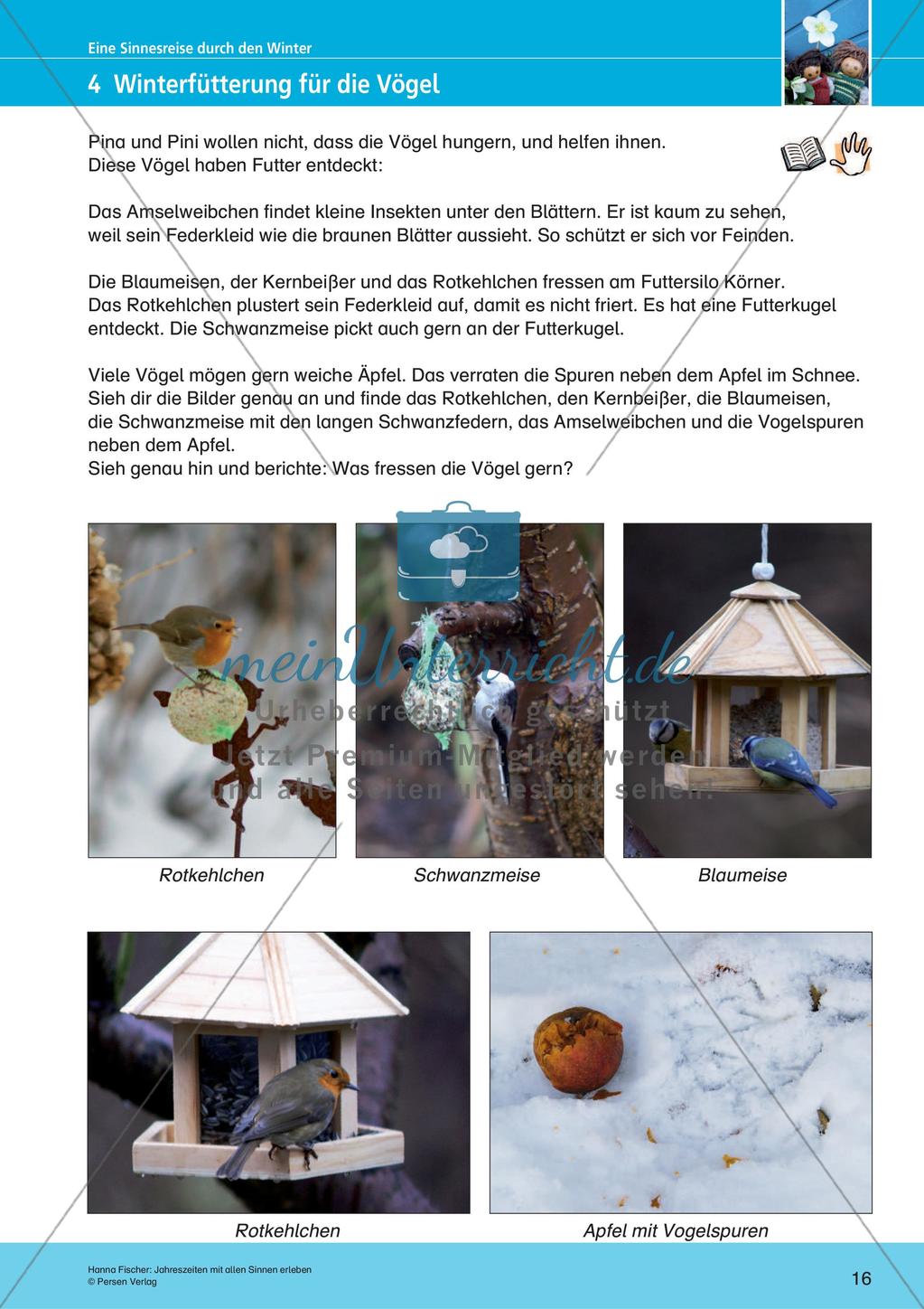 Erleben der Jahreszeiten mit allen Sinnen: Winter Preview 18