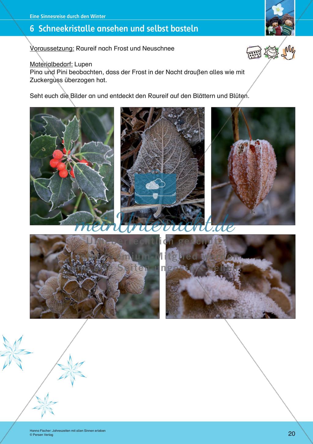 Erleben der Jahreszeiten mit allen Sinnen: Winter Preview 22