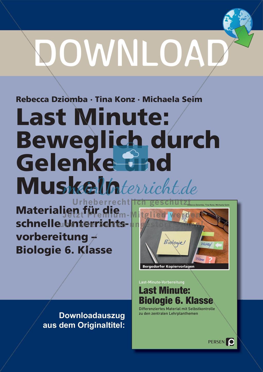 Anatomie: Gelenke und Muskeln Preview 1