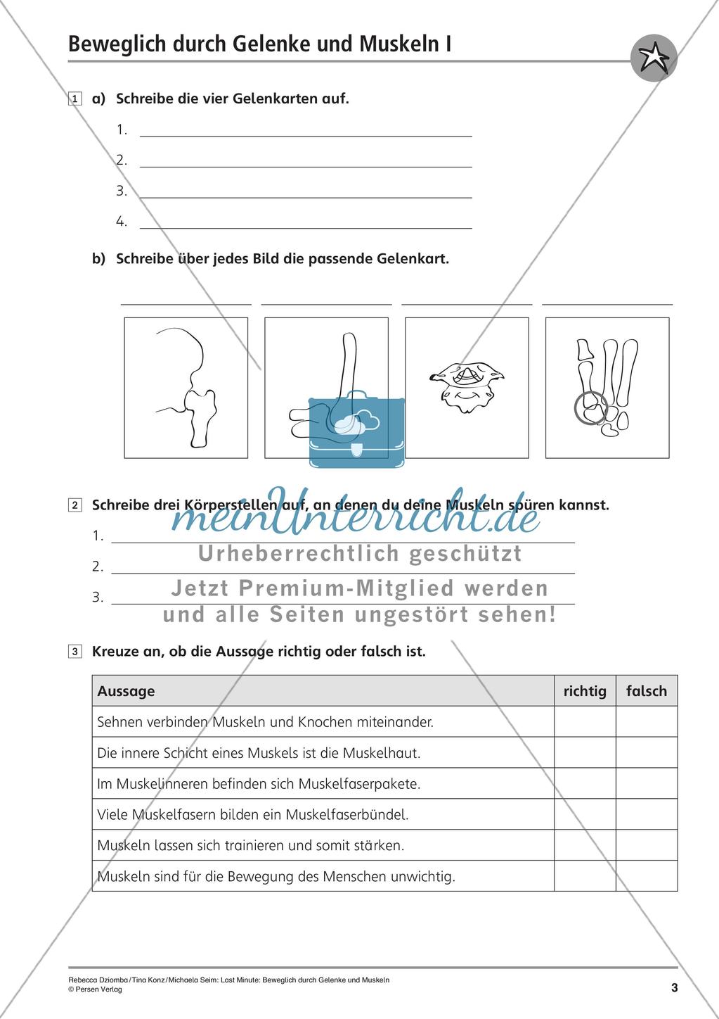 Anatomie: Gelenke und Muskeln Preview 5
