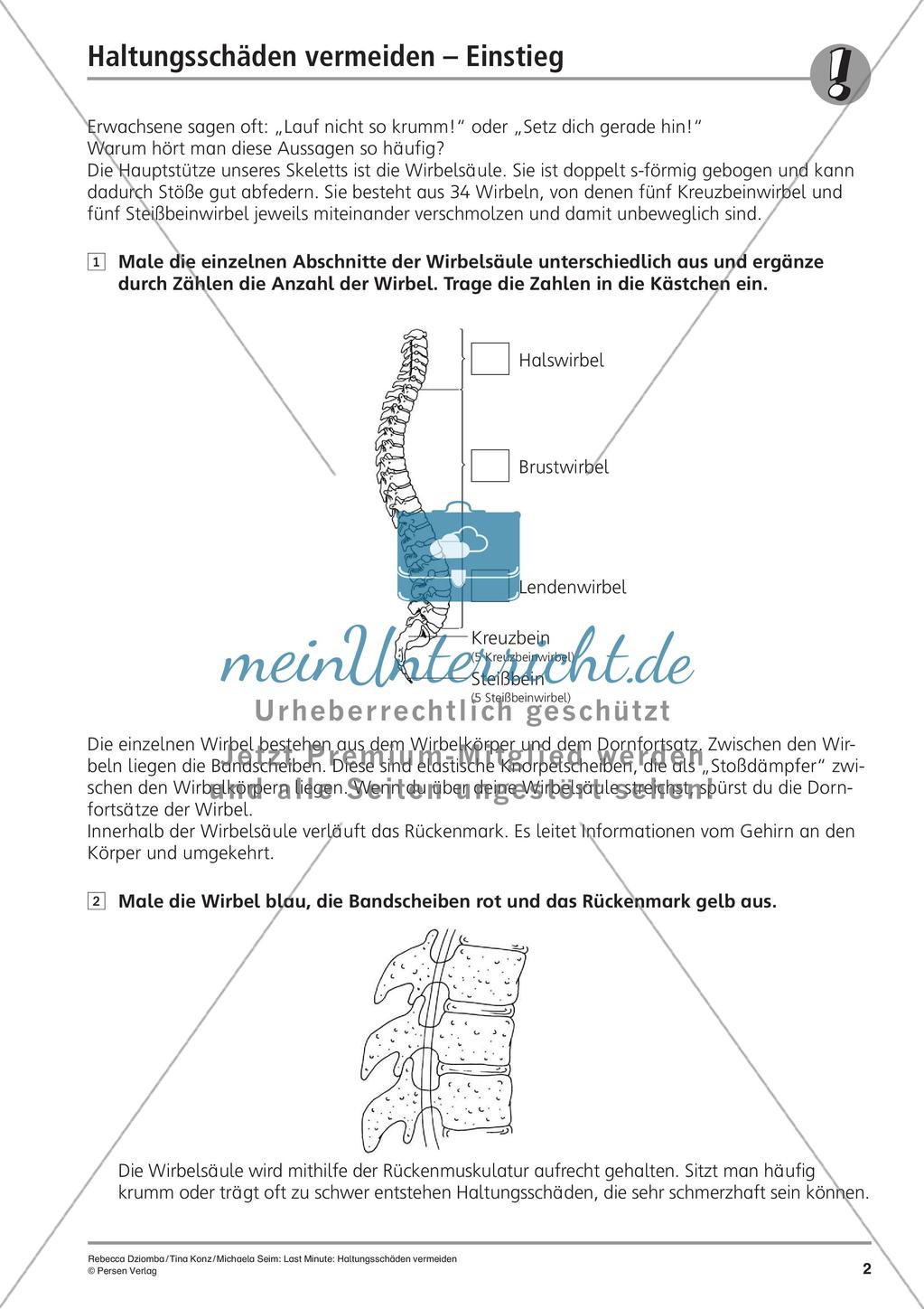 Rückenschule: Vermeidung von Haltungsschäden Preview 4