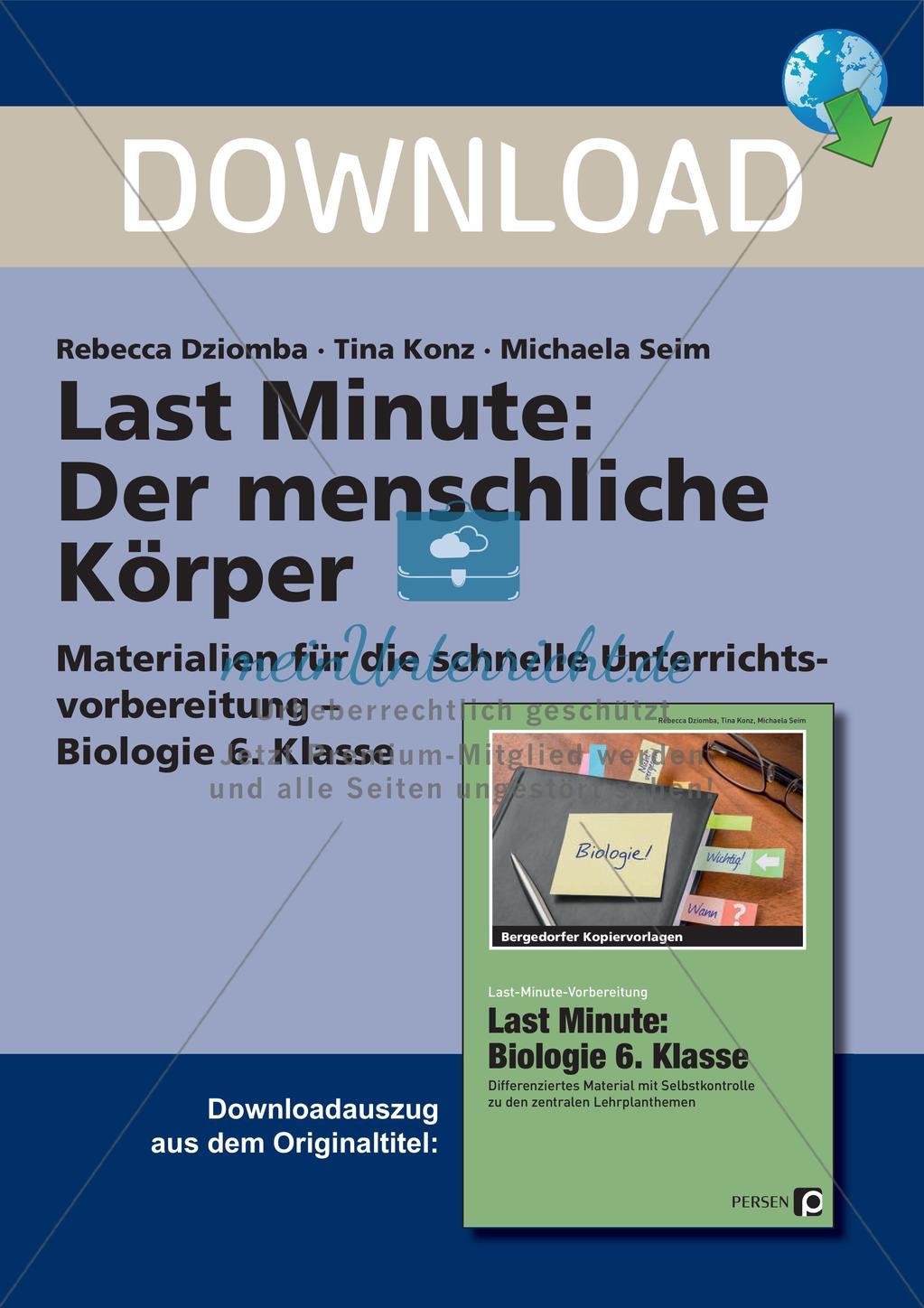 Anatomie: Körperteile und Organe Preview 1