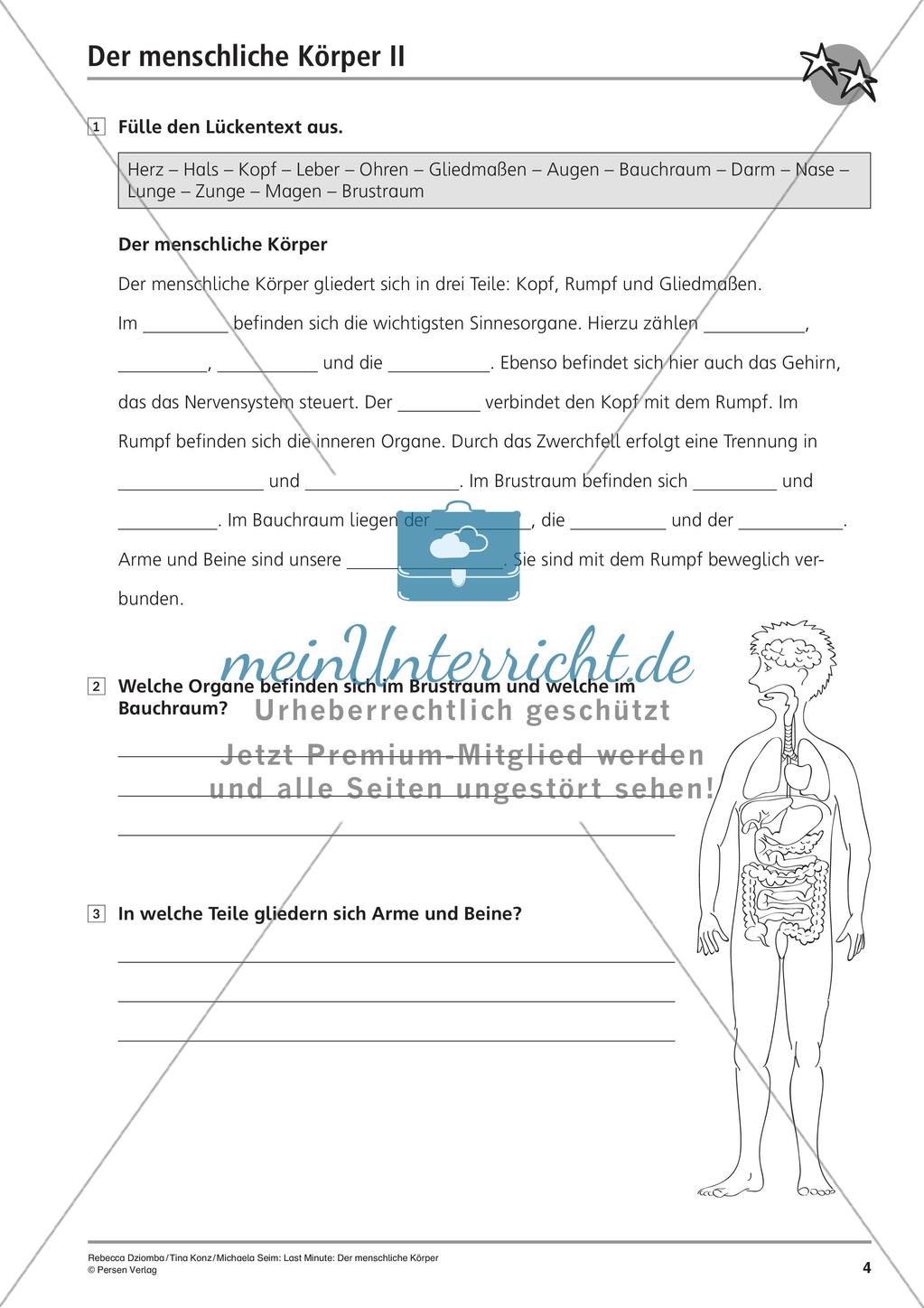 Anatomie: Körperteile und Organe Preview 6