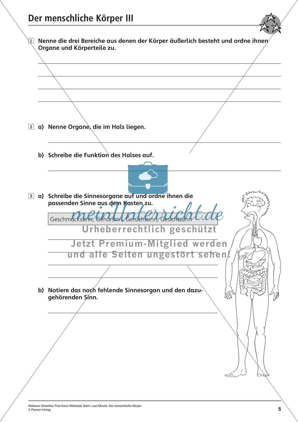 Anatomie: Körperteile und Organe Preview 7