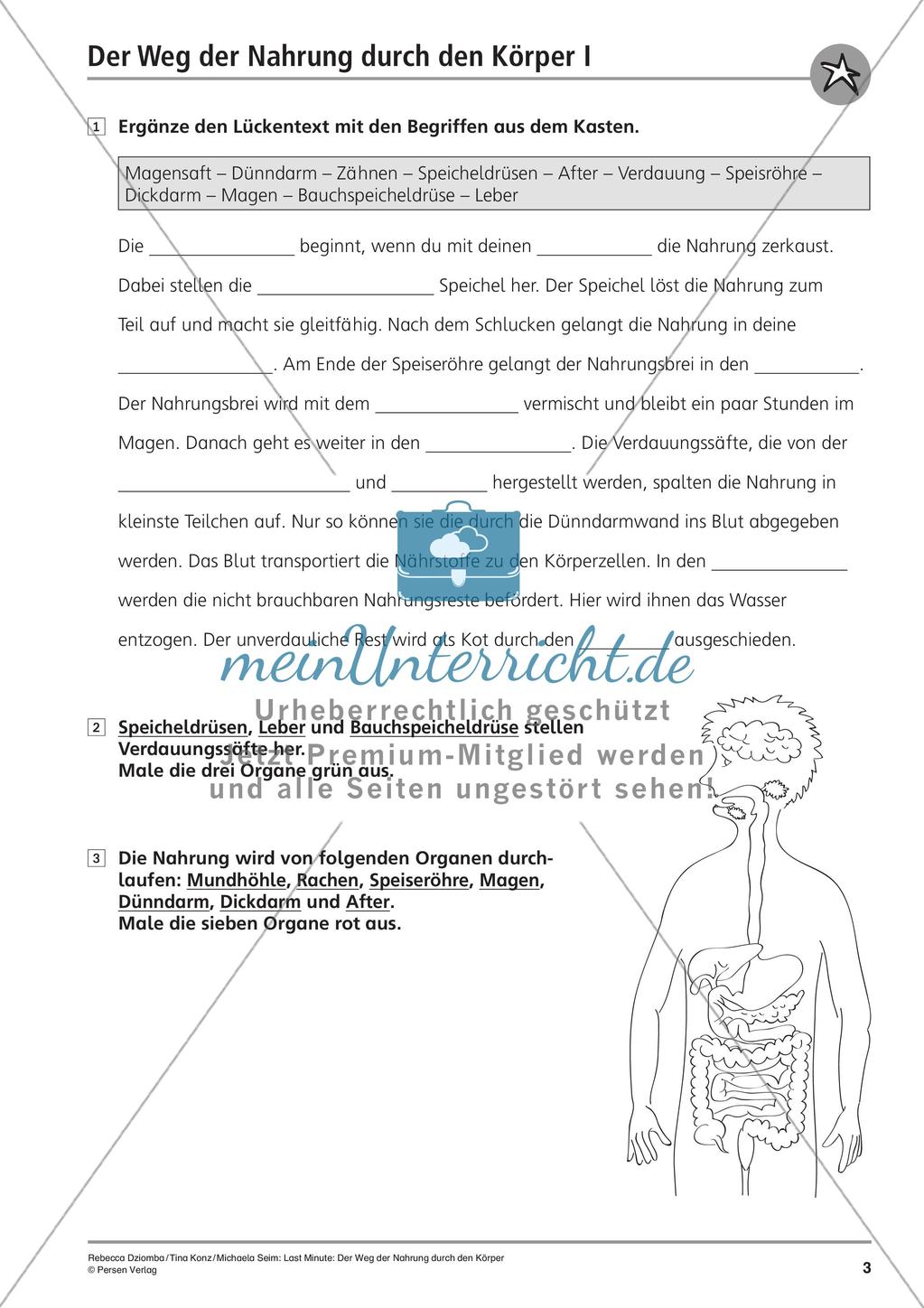 Verdauung: Weg der Nahrung durch den Körper Preview 5