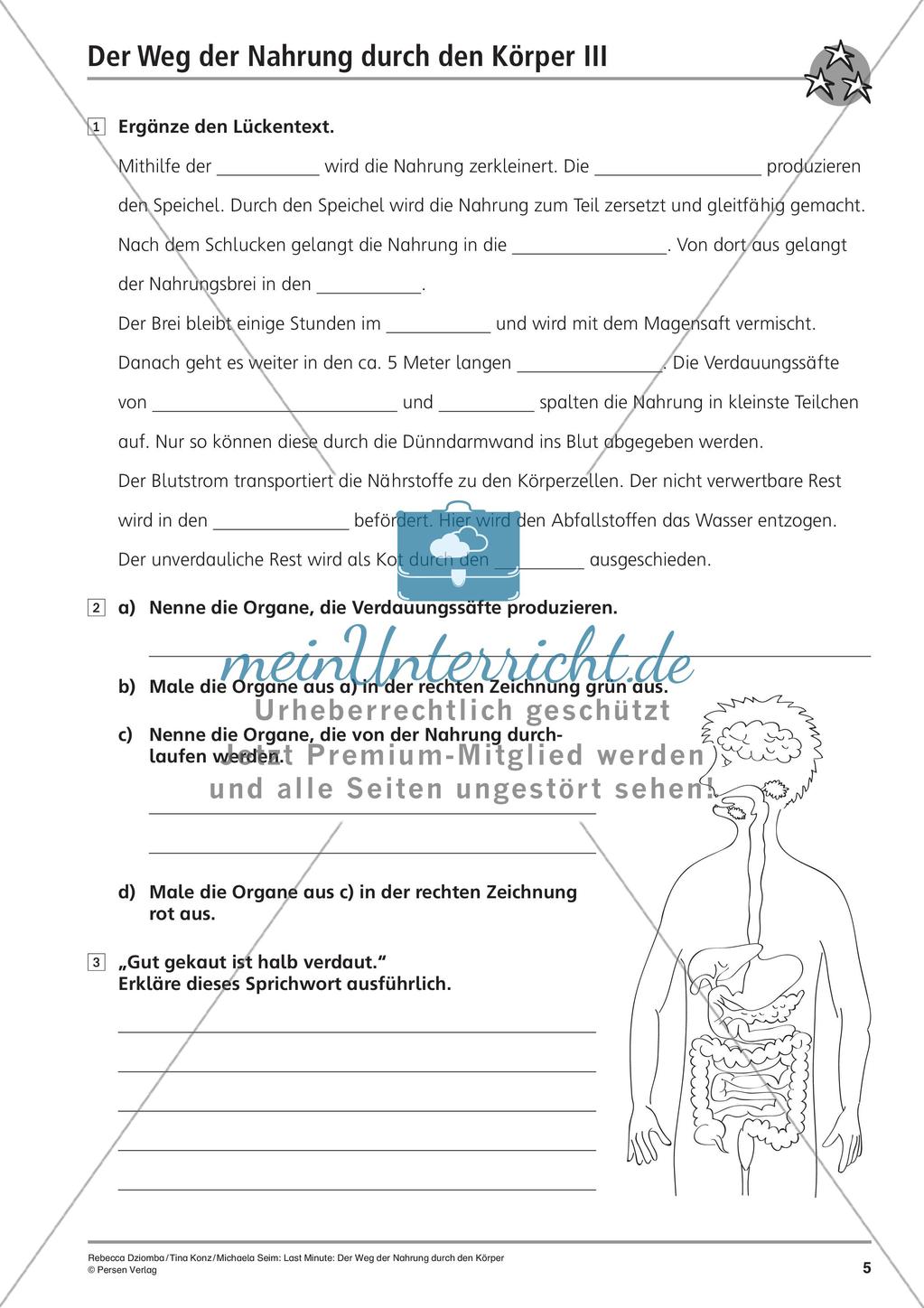 Verdauung: Weg der Nahrung durch den Körper Preview 7