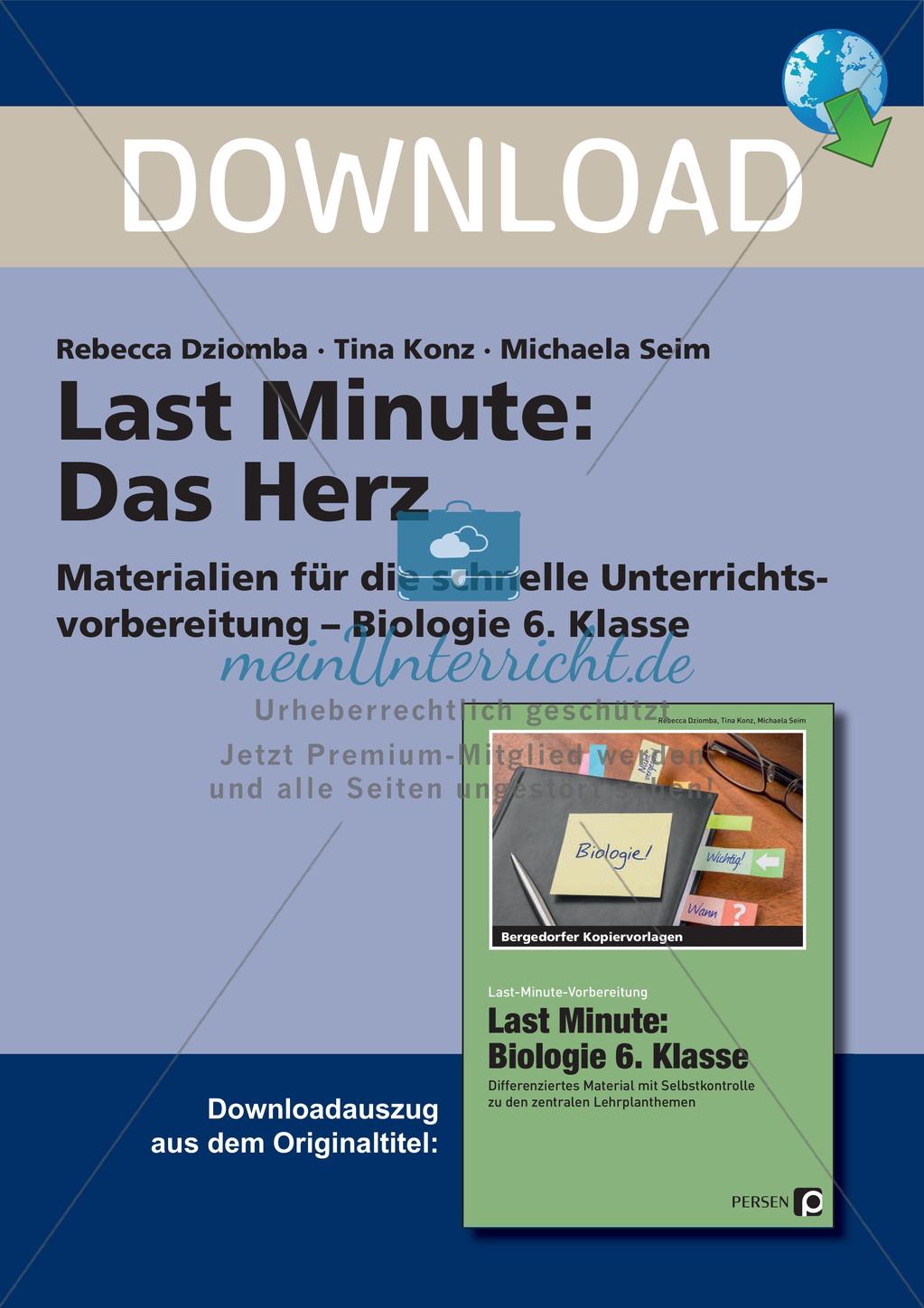 Organe: Das Herz Preview 1