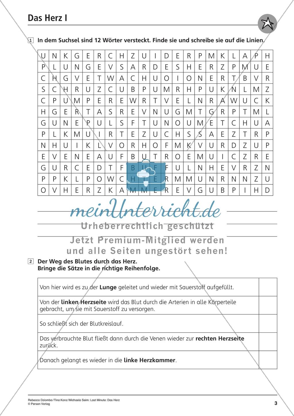 Organe: Das Herz Preview 5