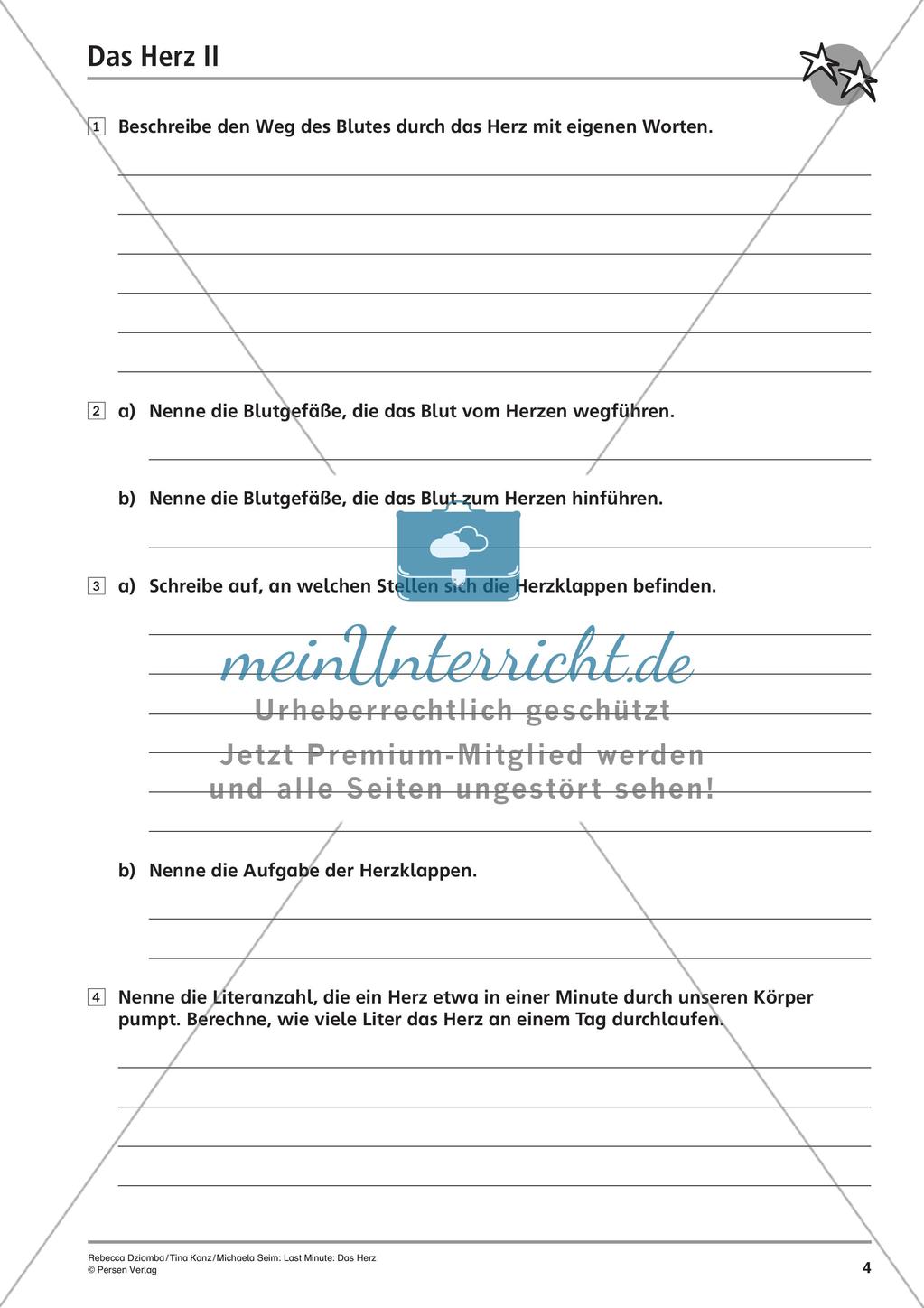 Organe: Das Herz Preview 6