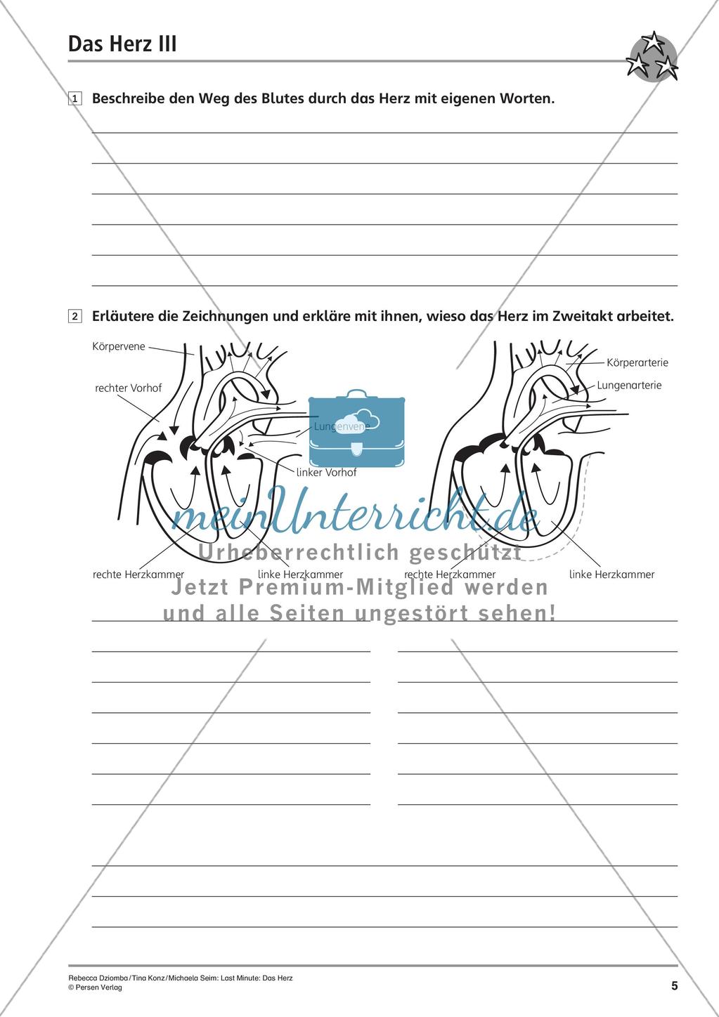 Organe: Das Herz Preview 7