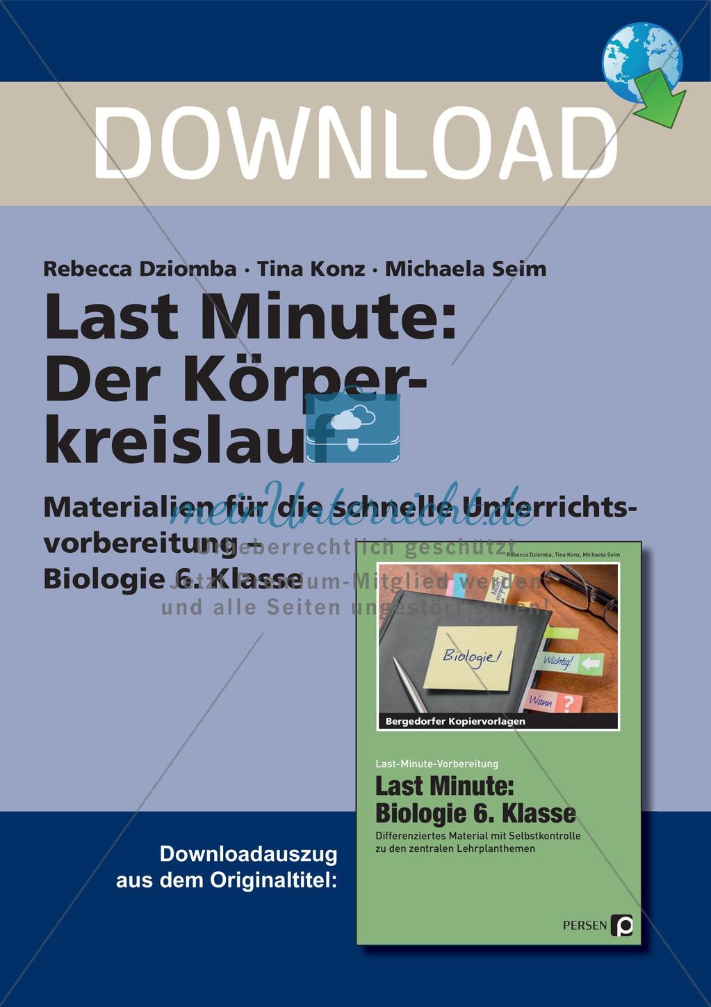 Anatomie: Blutkreislauf Preview 1