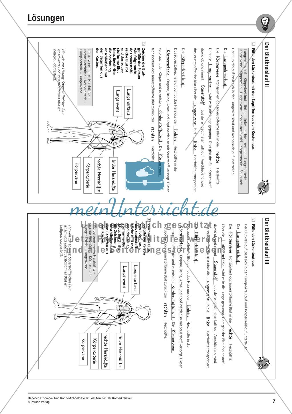 Anatomie: Blutkreislauf Preview 9