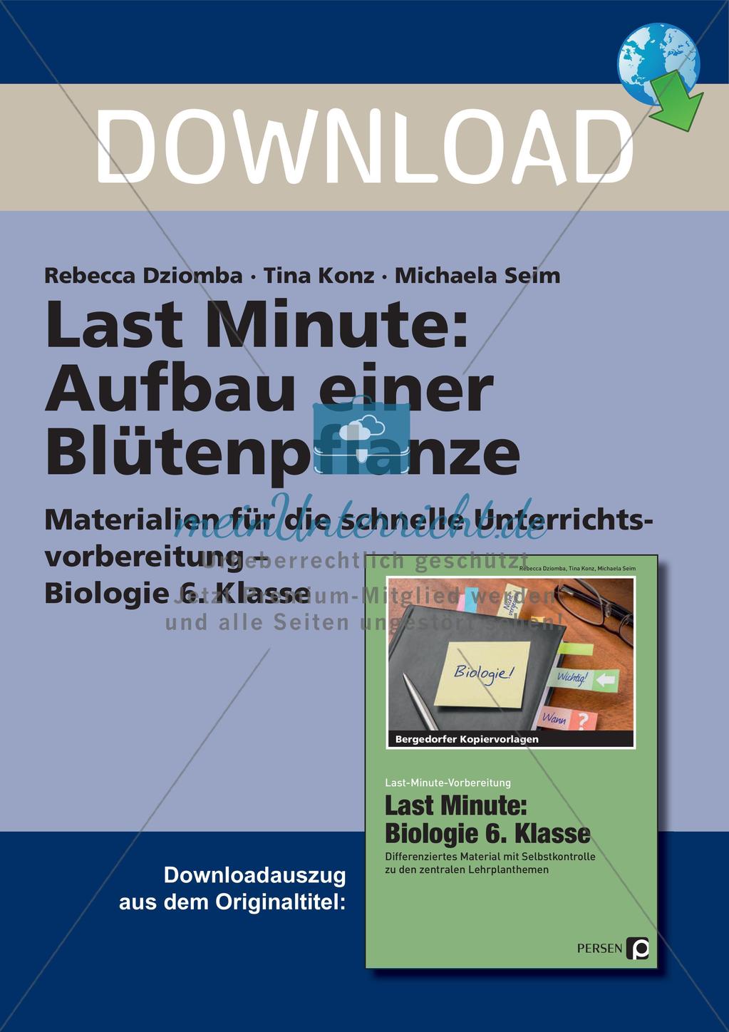 Blütenpflanze: Aufbau Preview 1