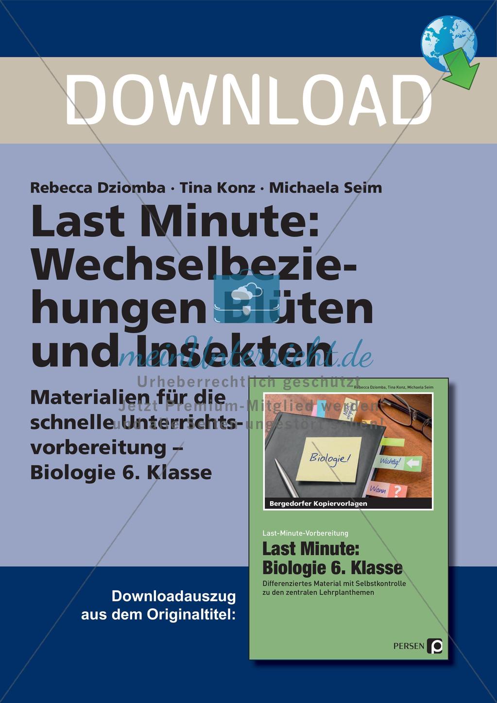 Wechselbeziehungen: Blüten und Insekten Preview 1