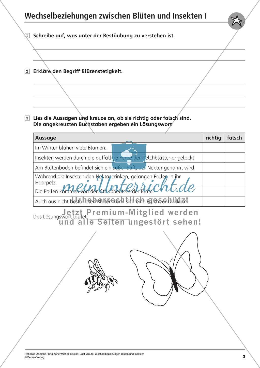 Wechselbeziehungen: Blüten und Insekten Preview 5